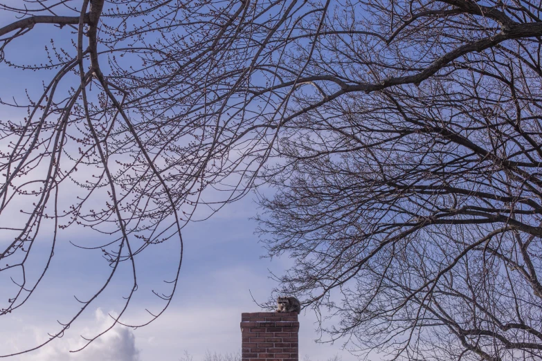 a tall brick building with a clock tower