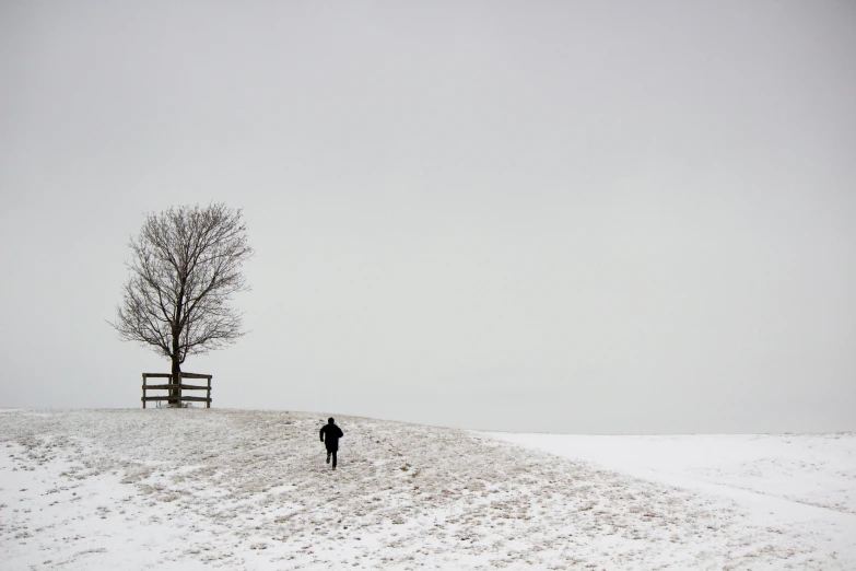 a lone person standing in the middle of a snowy field