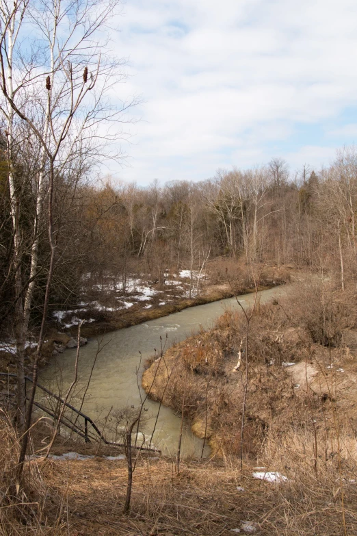 the stream is surrounded by trees and grass