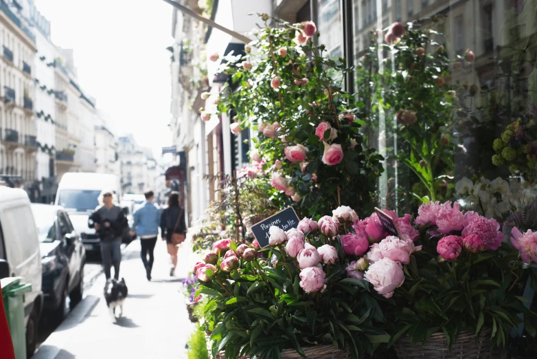 a couple walking down a street in front of flowers