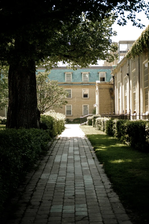 an empty walkway next to a building and trees