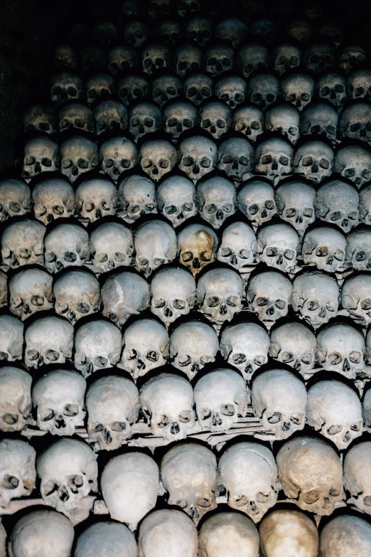 a bunch of skulls are stacked high in the air