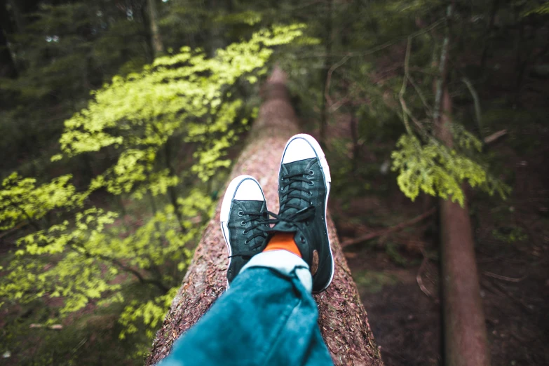 a person with black shoes standing on a fallen tree in the forest