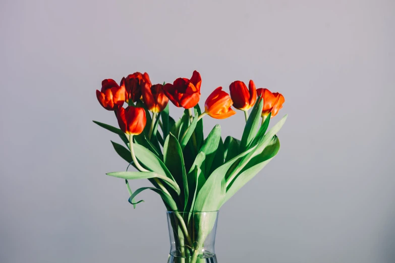 a glass vase filled with red flowers sitting on a table