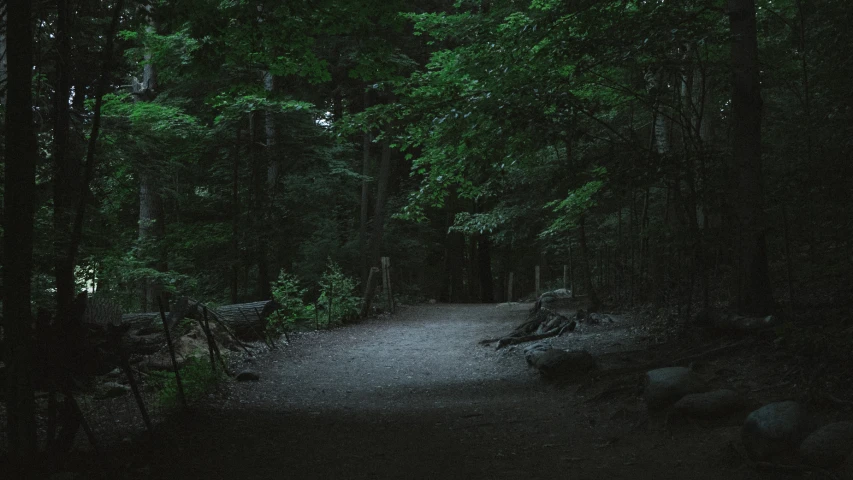 an empty path with a bench at the end during a dark night