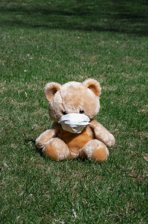 teddy bear in grassy field with white object