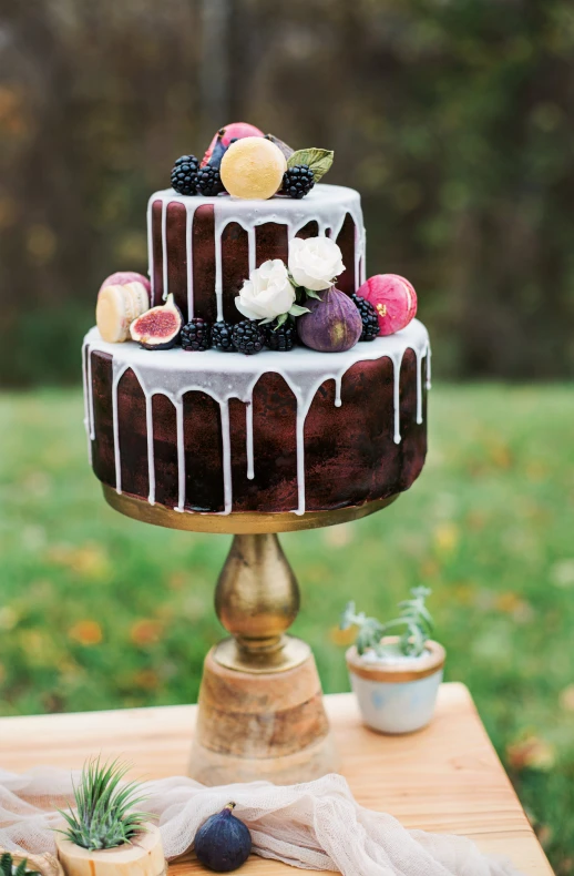 a chocolate cake with fruit and ice cream on a table outdoors
