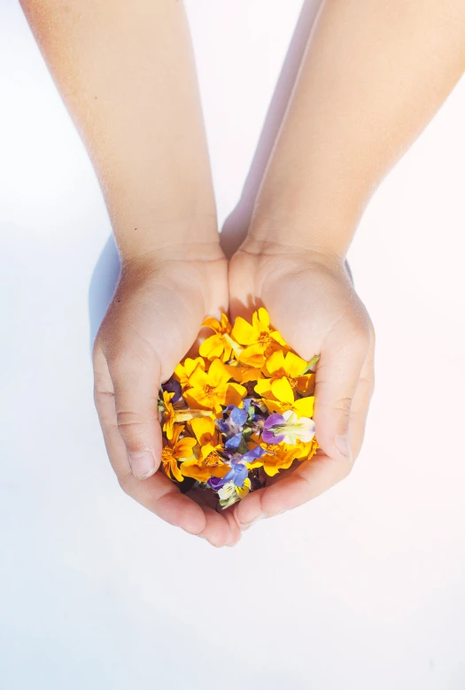 a person holding up soing with small flowers