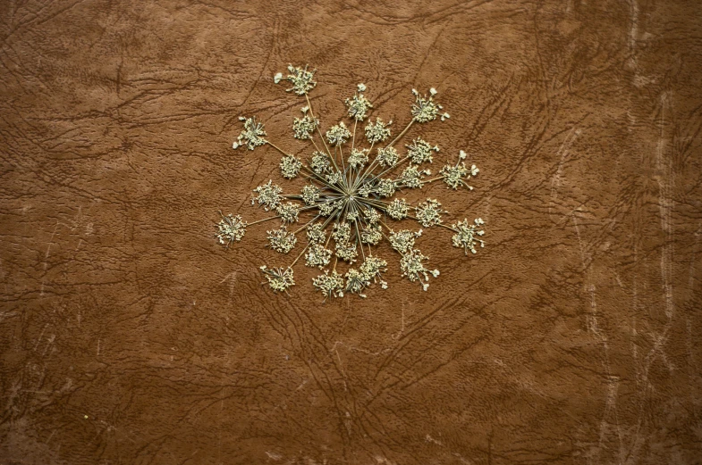 a group of flowers on the side of a leather background