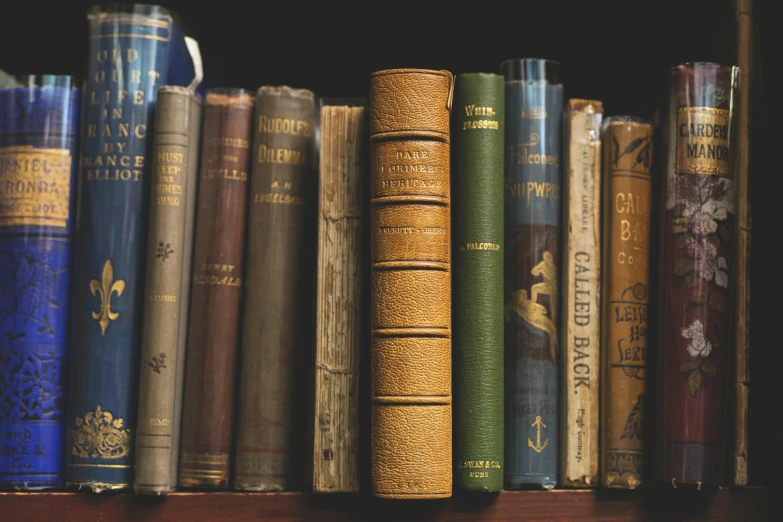 many books line the back of a book shelf