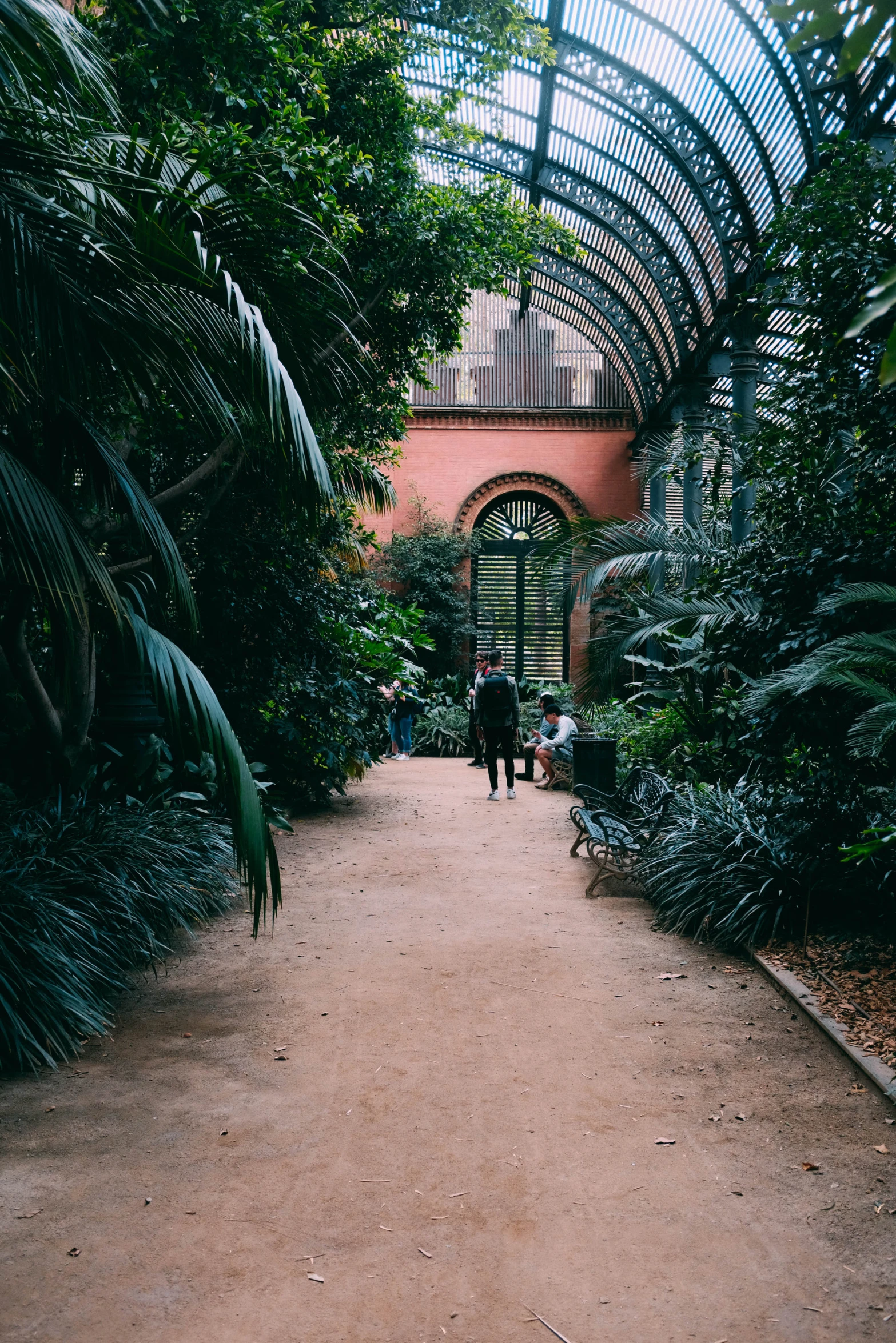 people walking down a dirt path between palm trees and a building