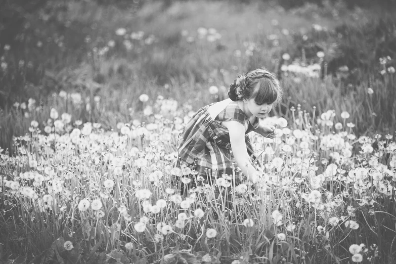 a girl is standing in a field of dandelions