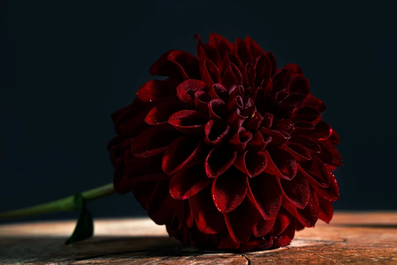 a red flower that is standing on a table