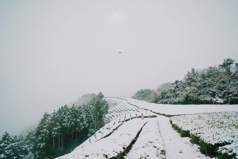 a snowy path surrounded by trees, bushes and a hill