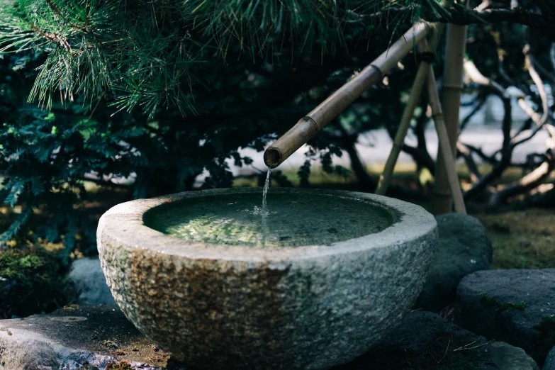 a water feature with wooden posts and a tree behind it