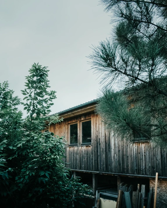 a wooden structure with plants and bushes on the outside