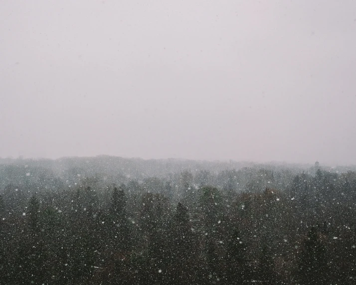 fog in the distance, with snow flakes, above trees and hill