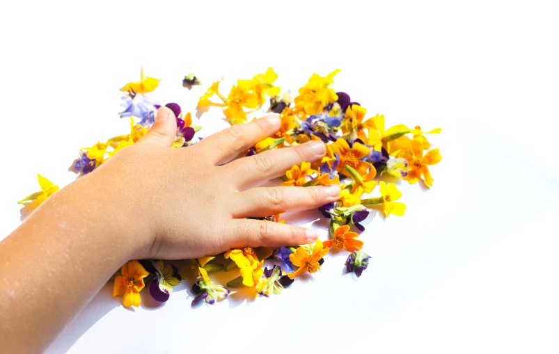 the person is reaching out for the flowers