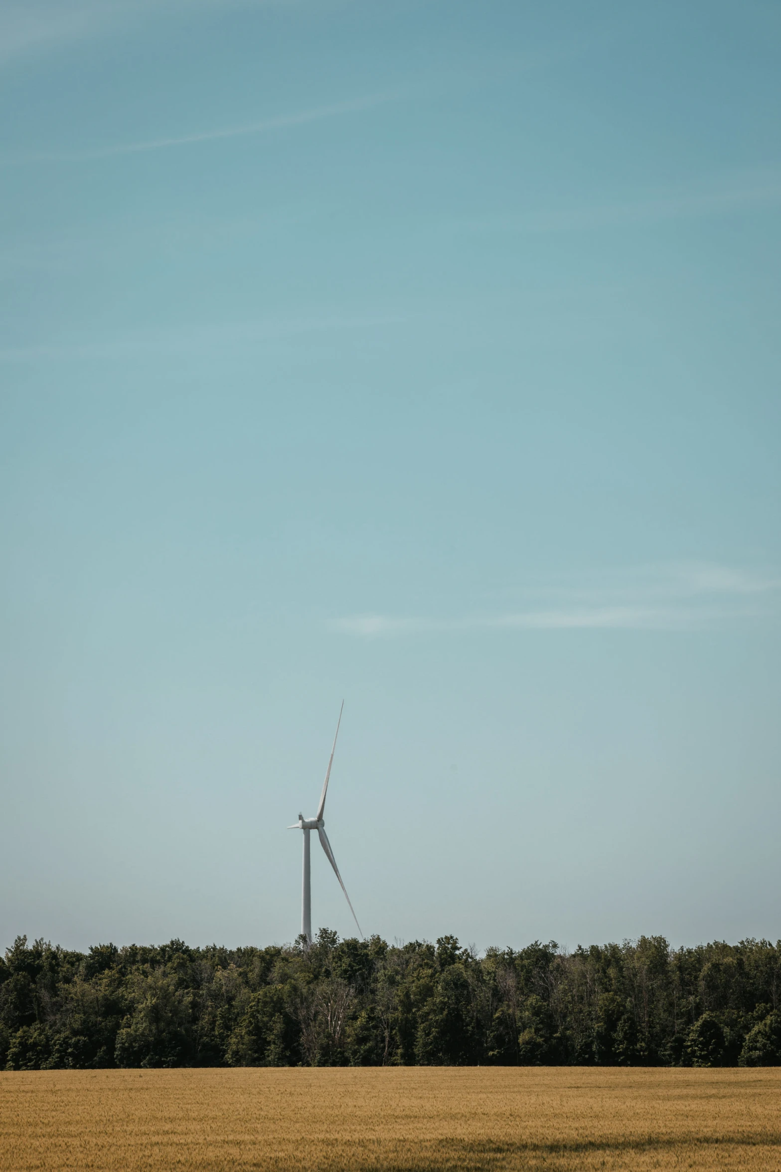 a windmill is seen through the green field