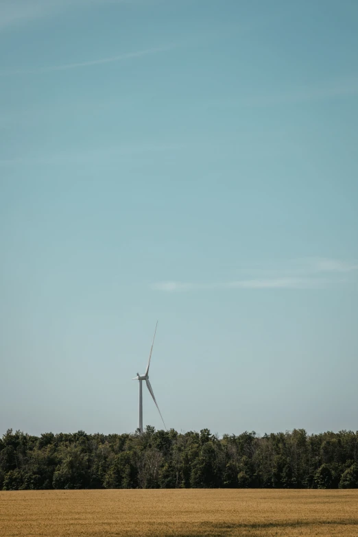 a windmill is seen through the green field