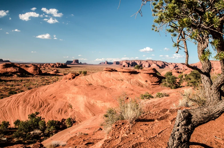 some trees in the middle of some very red hills