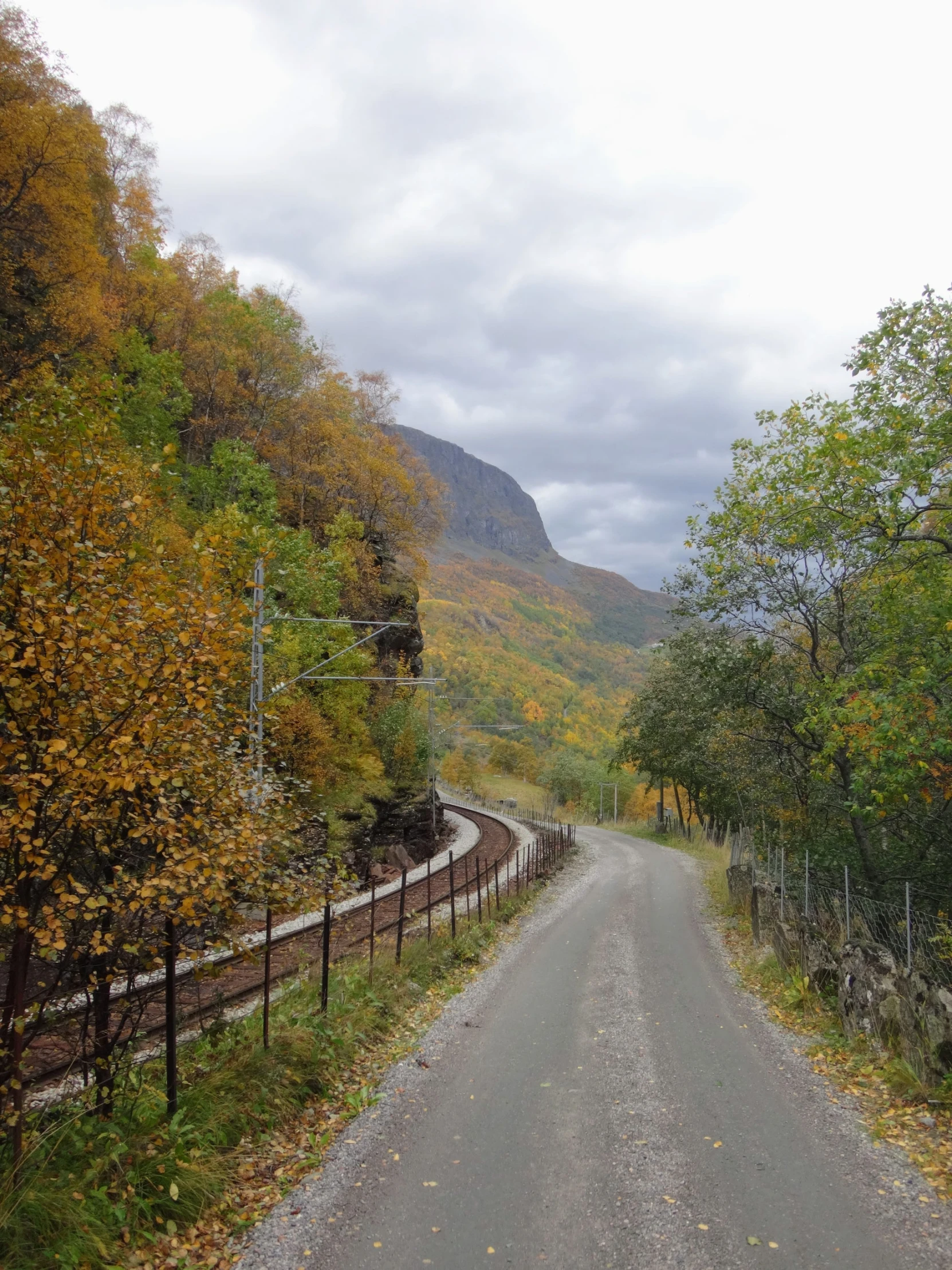 a large open road with trees and mountains in the background