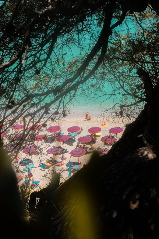 there are several colorful beach umbrellas on the beach