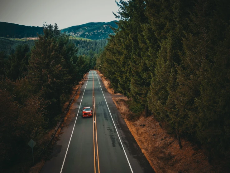 two cars driving down the road in the middle of the forest