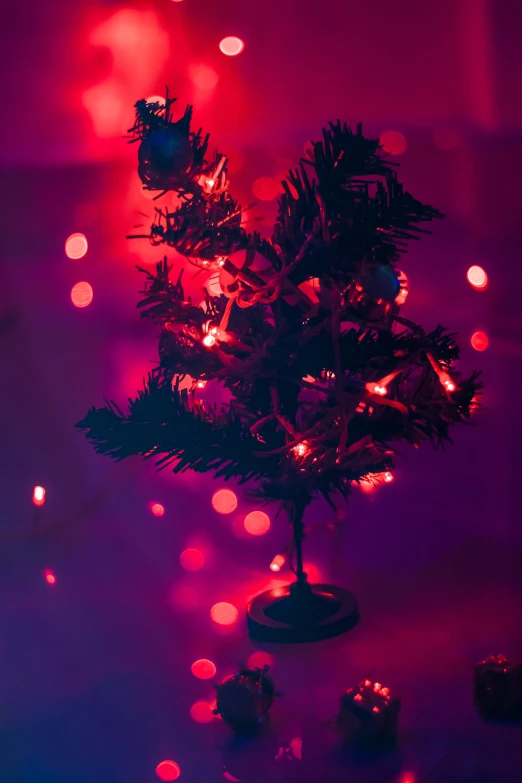 christmas tree on table with brightly lit background