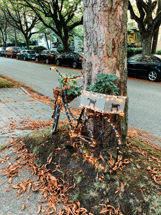 an old bike that is leaning against a tree