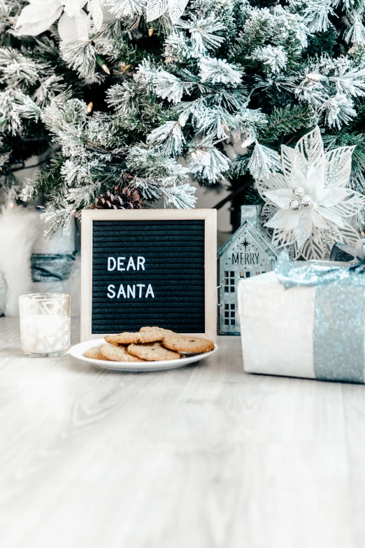 some food and wrapped presents in front of a christmas tree