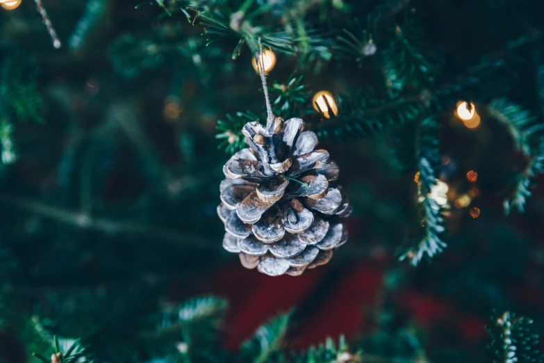 the pine cone is hanging on the christmas tree