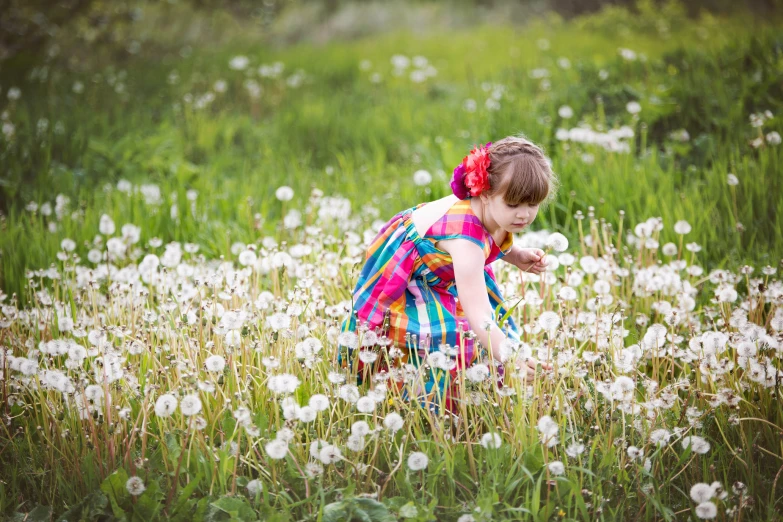 the little girl is in the field of flowers