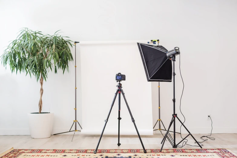 three tripod lights are set up in front of an easel