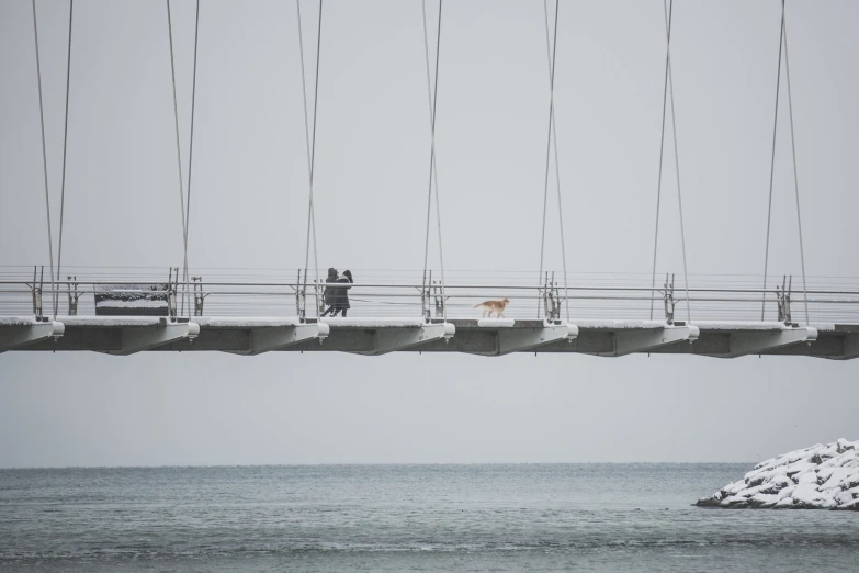 a person walks their dog on a bridge over the ocean