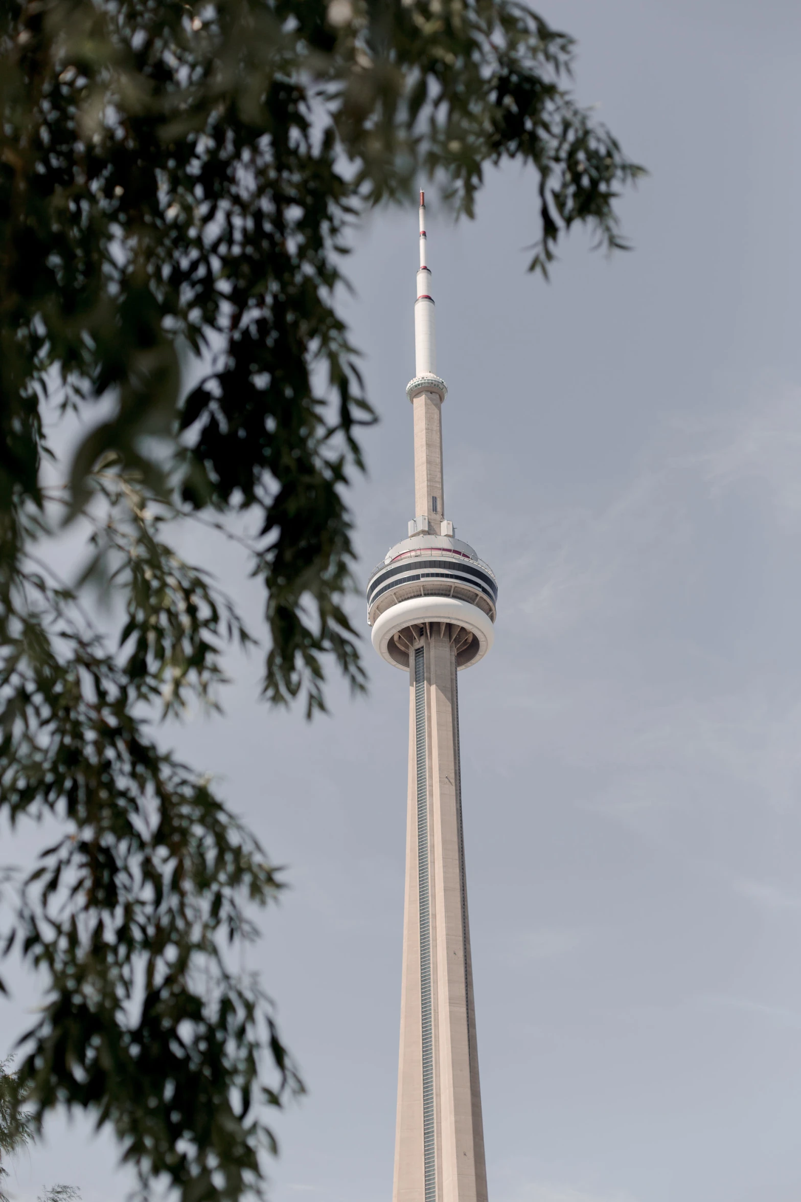 the tall building is next to a lot of trees