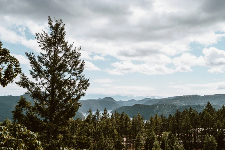 a view of the mountains from near the trees