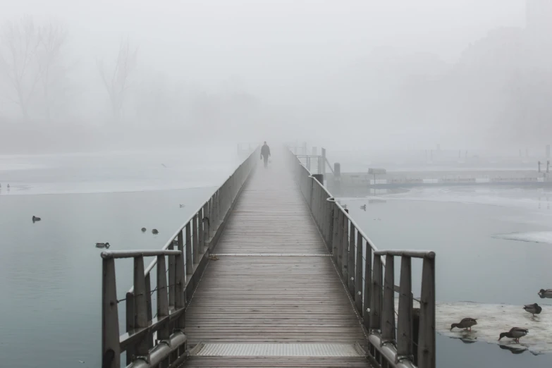 a boardwalk and several ducks in the water with fog