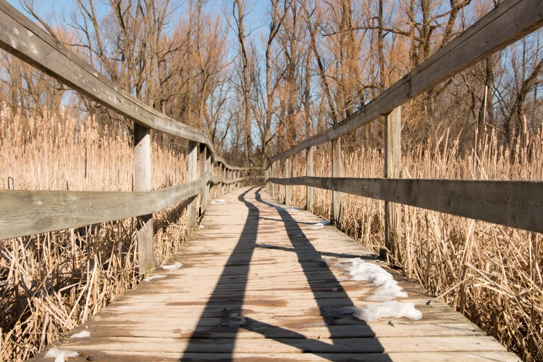 the shadow of the person walking over a bridge