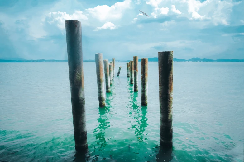 there are many old poles sticking out of the water