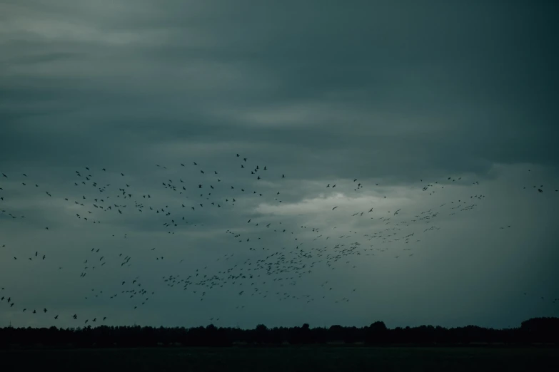 the dark sky is very cloudy and full of birds