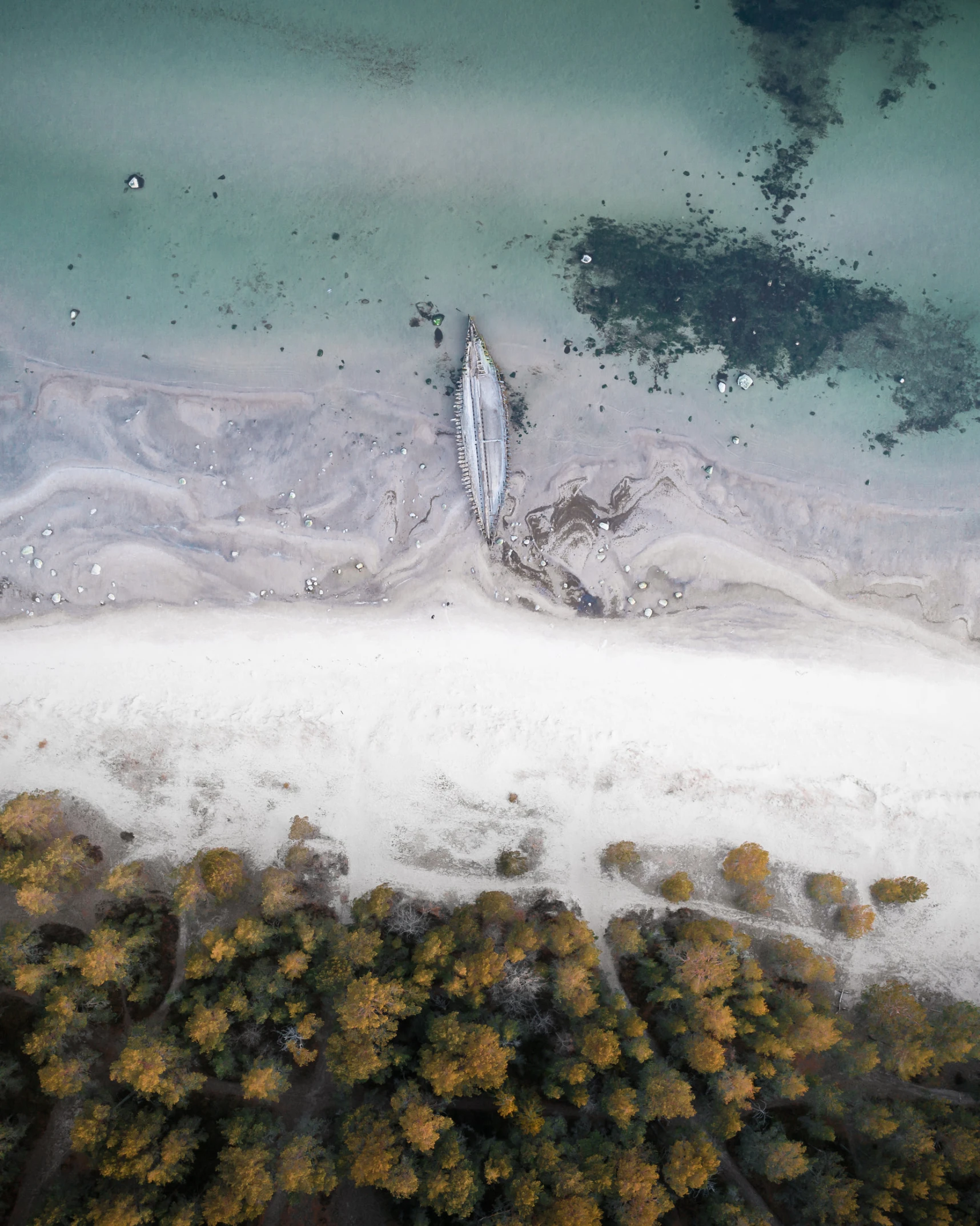 an aerial view of a river, trees and land