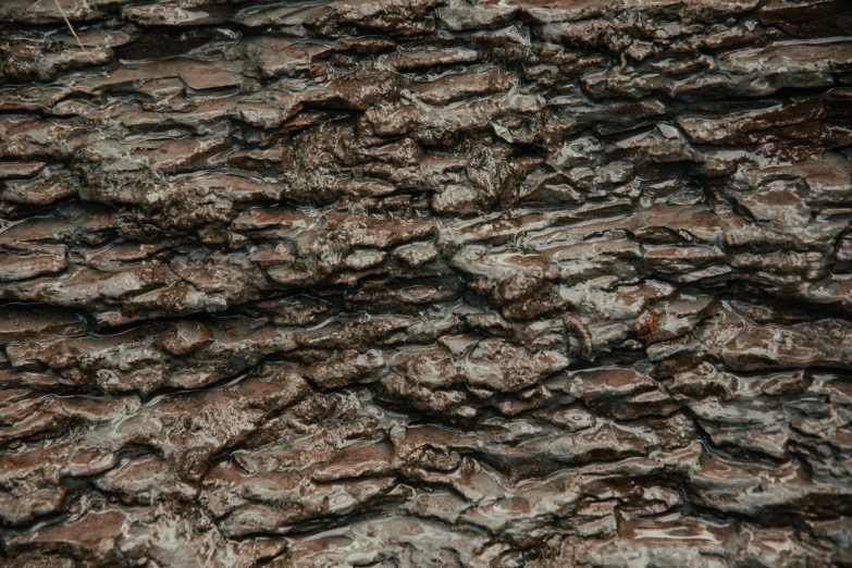the closeup view of rocks, including one is blurry