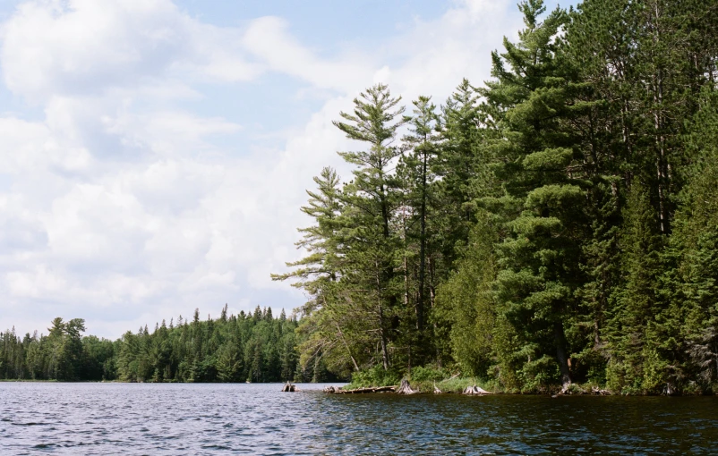 a beautiful lake in the woods, with water way