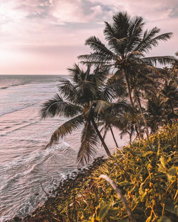 the water is blue with waves and some palm trees