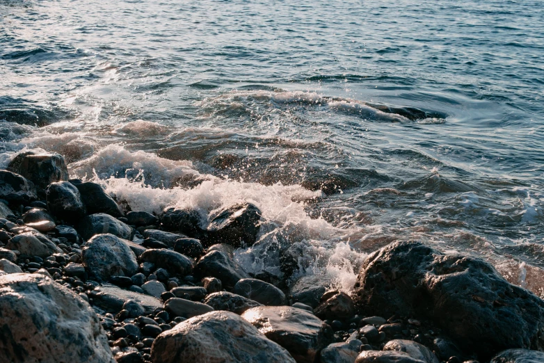 a small bird flies over some rocks