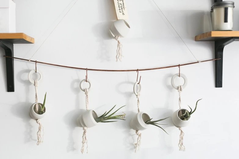 white cup hanging from a shelf with air plants