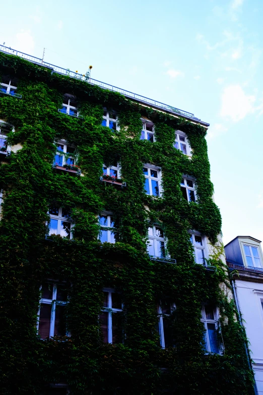 a tall building covered in green ivy