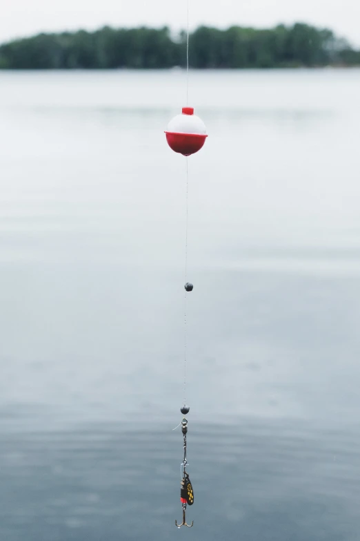 the fishing pole is suspended on a string from the sky