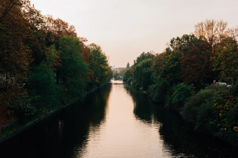 a waterway lined with trees during the day